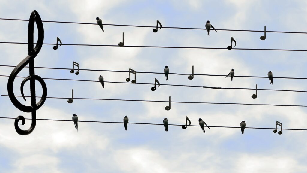 音符の鳥たち