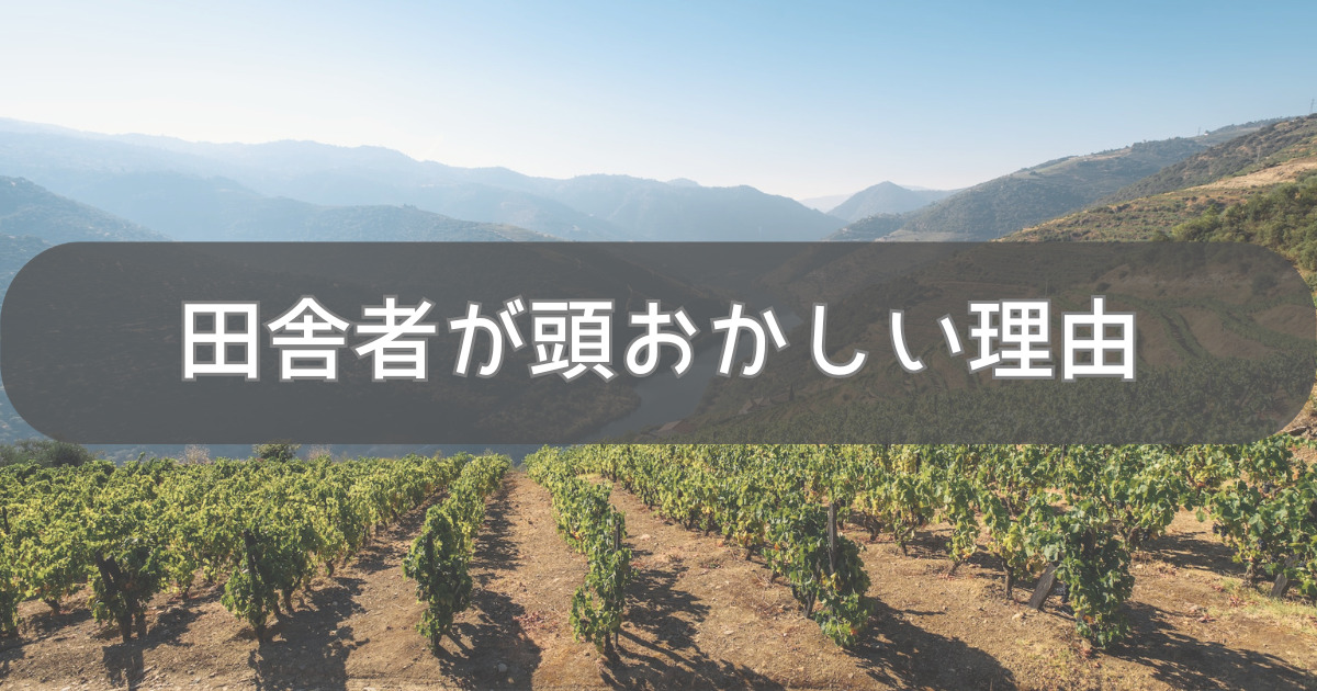 田舎者は頭おかしい？理由と悲惨な田舎暮らしにならないよう対処法紹介 - ボンでもブログ！！