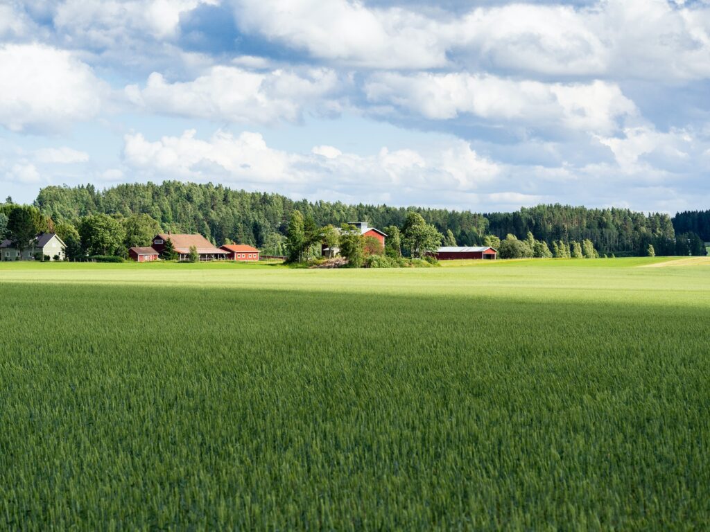 田舎の風景